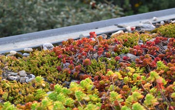 the cost of Carclaze green roof installation