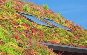 Carclaze living roof systems