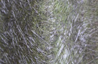 Carclaze fibreglass roof work